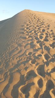 GC-Dunas de Maspalomas sunset 2026-115.jpg